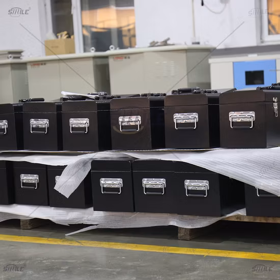 Caja de herramientas de aluminio resistente vendedora caliente del camión de la sonrisa